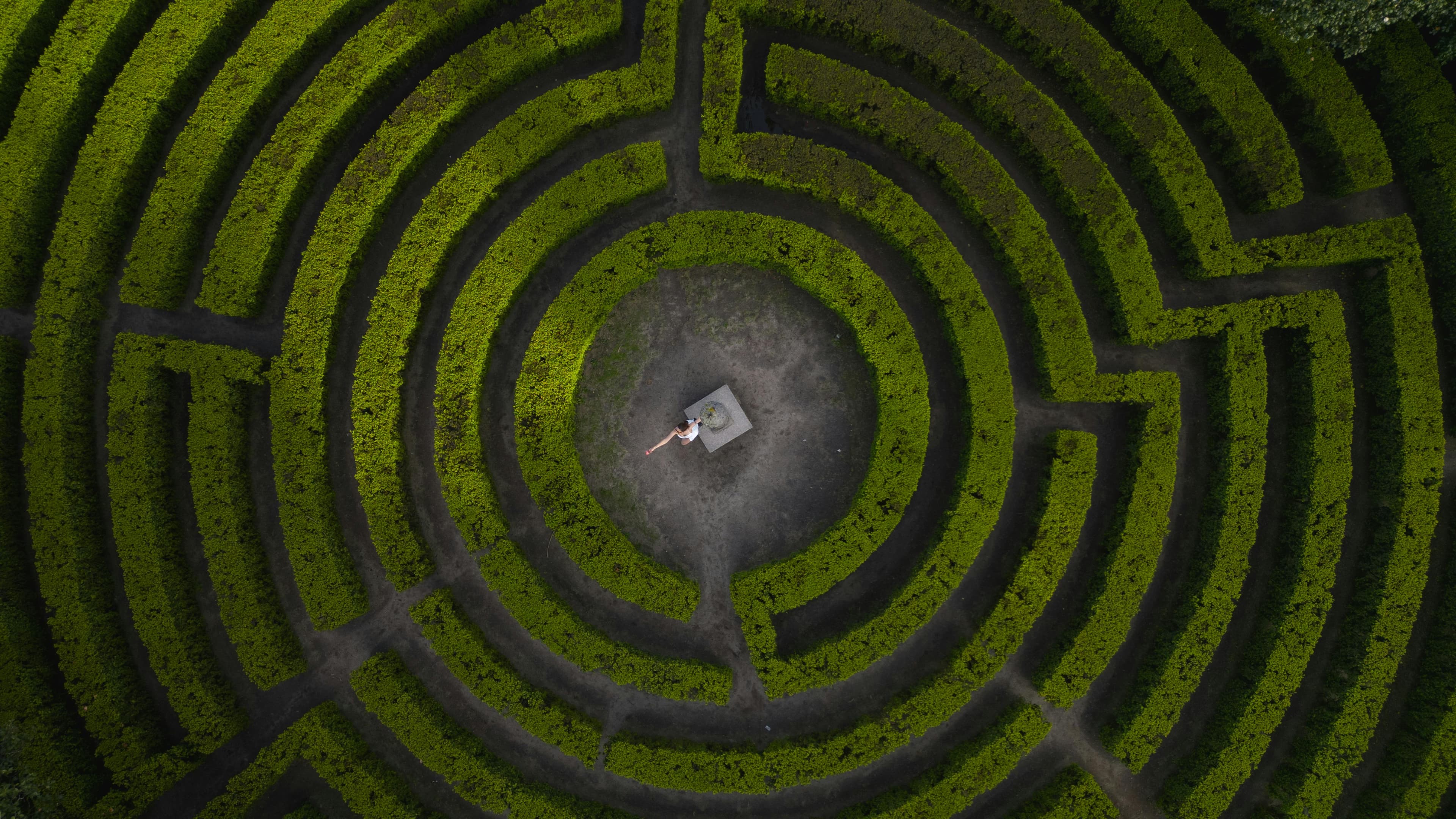 Aerial view of a circular hedge labyrinth, with a single figure standing in the center